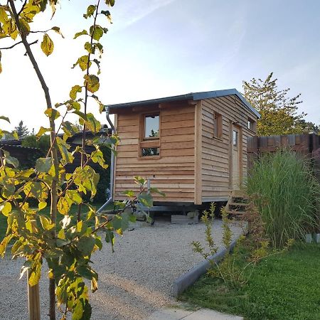 Zirbenholz Tiny House "Waldhauszeit" Am See ミュッケ エクステリア 写真