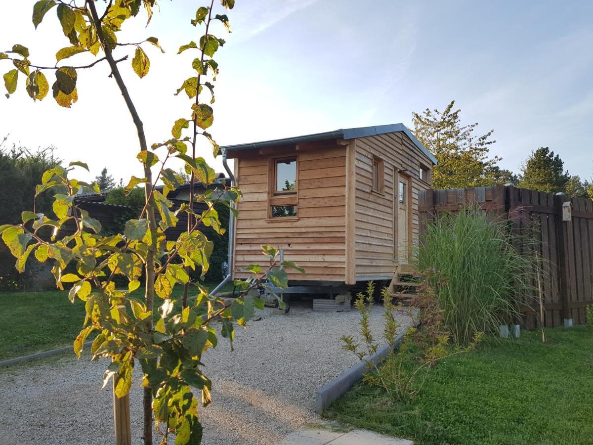Zirbenholz Tiny House "Waldhauszeit" Am See ミュッケ エクステリア 写真
