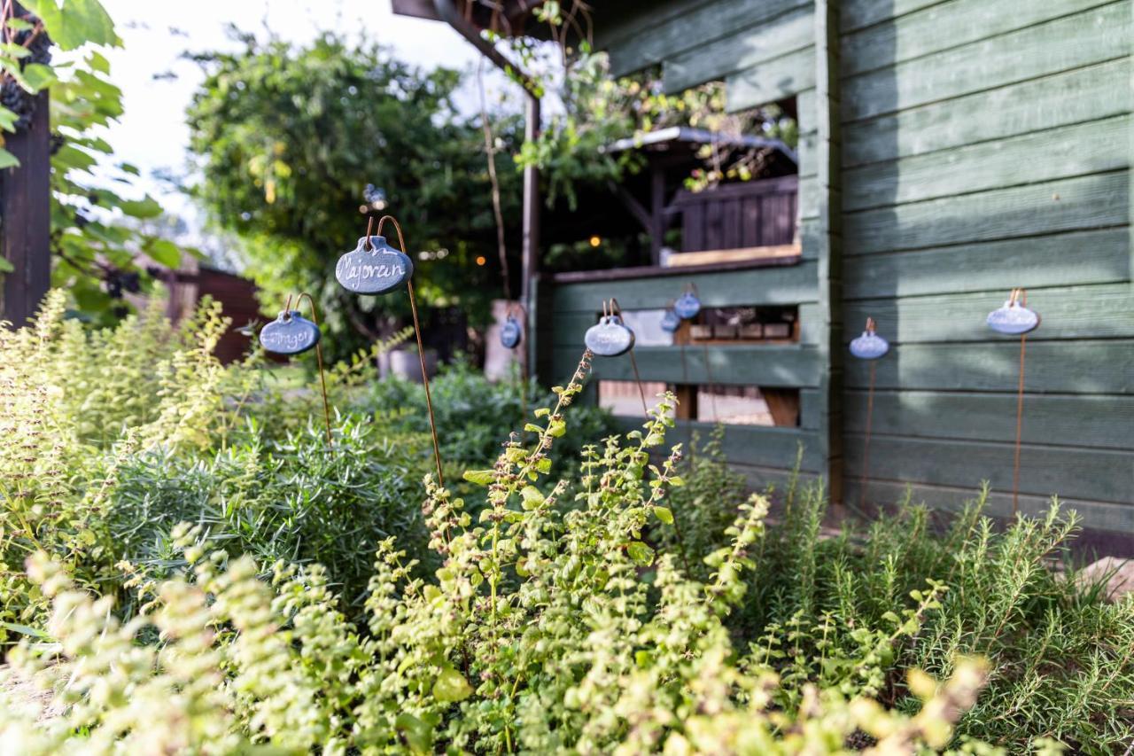Zirbenholz Tiny House "Waldhauszeit" Am See ミュッケ エクステリア 写真